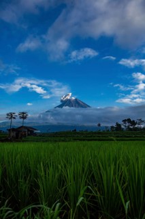 A volcano behind green rice paddies and clouds, under a clear blue sky, Smoking volcano, Sumatra,