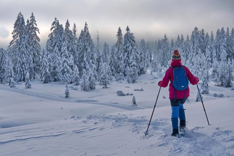 Nice and active senior woman hiking with snow shoes in deep powder snow in the Hochhaedrich area of