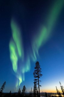 Northern Lights (Aurora borealis), Gällivare, Norrbotten, Lapland, Sweden, April 2025