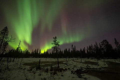 Northern Lights (Aurora borealis), Muddus National Park, Laponia World Heritage Site, Norrbotten,
