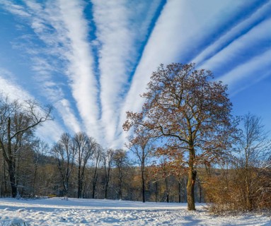 Germany, Greiz, Greizer Park, Thuringia, Thuringia, cultural heritage, landscape, landscape park,