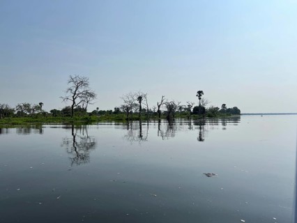 Shore, White Nile, Murchison Falls National Park, Uganda