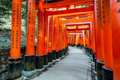 Walk through hundreds of red traditional torii gates, Fushimi Inari Taisha, Shinto Shrine, Fushimi
