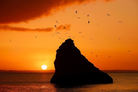 Rocks in the sea and flying seagulls at sunrise, Praia Dona Ana, Lagos, Algarve, Portugal