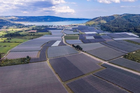 Fruit growing on Lake Constance. Apple orchards with protective nets against hail. Drone photo.