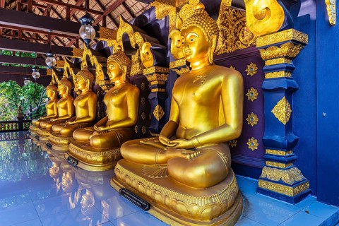 Seated, gilded Buddha statues in the Buddhist temple Wat Phra That Don Phra Chan, near Lampang,