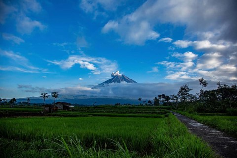 A volcano in the distance above rice paddies, under a blue sky and surrounded by clouds, Smoking