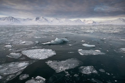 Pieces of ice float in the fjord, Kongsfjord or Kongsfjorden, Spitsbergen archipelago, Svalbard,