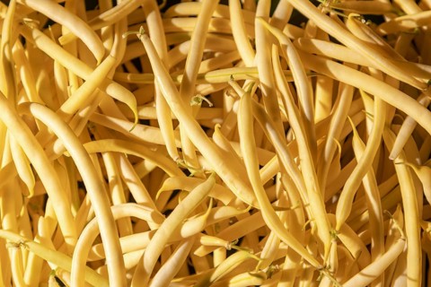 Close-up of yellow beans, looking at the format