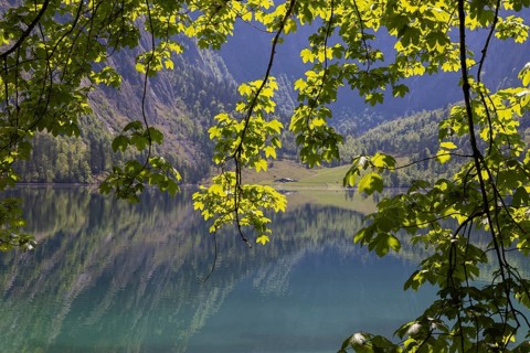 Obersee, Berchtesgaden National Park, Germany