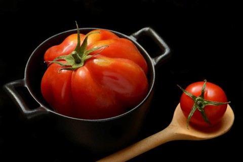 Oxheart tomato in pot, Solanum lycopersicum