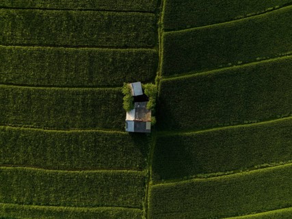 Aerial view looking down at a hut surrounded by rice paddies, Mount Agung, Bali, Indonesia