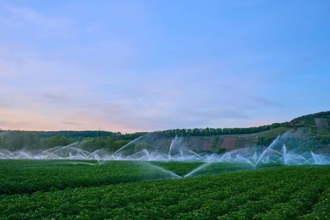 Irrigation systems work under a blue evening sky on vast fields, Karlburg, Karlstadt,