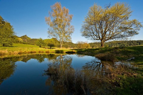 A small pond with a view of Mariina skála (Marienfels), a 428-metre-high rocky peak in the Bohemian