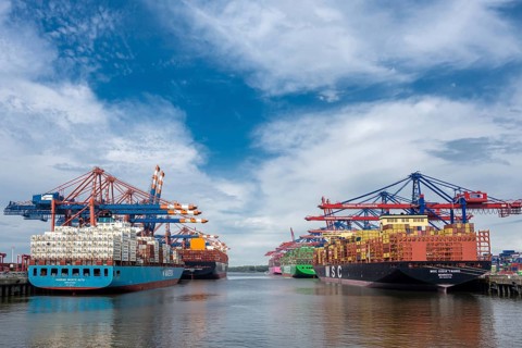 The large container ships MSC Gioia Tauro and Maersk Monte Alto at the berths of the Burchardkai