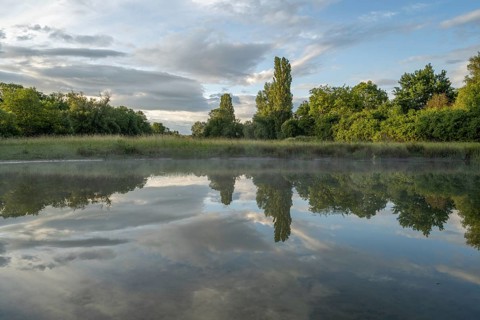 There are trees near a pond. Her reflection can be seen in calm water. There are a few clouds in