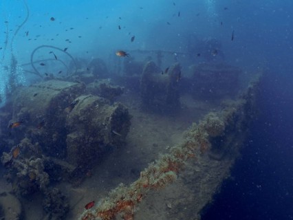 A shipwreck in the Mediterranean with lush vegetation and floating fish, dive site Wreck of the