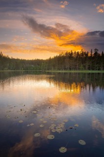 View of Lake Ongeltjørn at sunset, Telemark, Norway