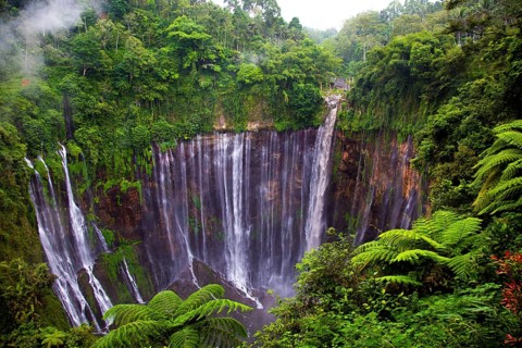 An impressive waterfall cascades over a steep cliff surrounded by dense tropical forest, views of