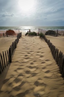 Evening in the dunes in Soulac-sur-Mer, Gironde, France