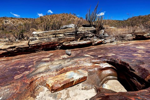 Rocky landscape with cacti and rocks under clear blue sky, the thornshrub savanna in the Caatinga