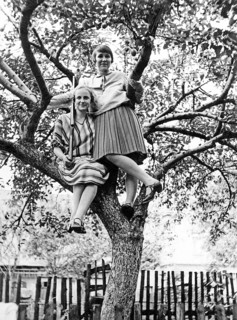 Two young woman sitting on a tree, rifle, Germany, historical, around 1930s
