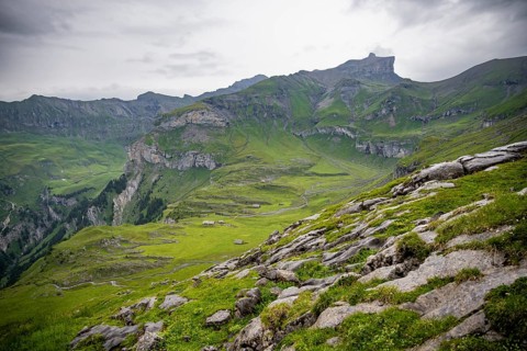 Alpine pastures and alpine meadows on Kienboden, green mountains, Bernese Alps, Bernese Oberland,