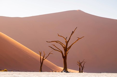 Red sand dunes and white salt pan with dead trees, Dead Vlei, Namib Desert, Namib Naukluft Park,