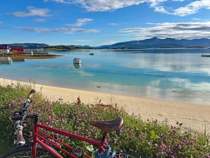 A red bicycle is parked on a flower-lined beach with views of the blue water and distant mountains,