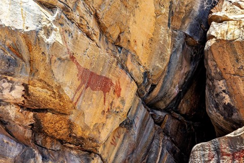 Red depictions of animals in a natural rocky landscape, prehistoric rock carvings in the thorny