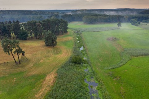 Barnim, Brandenburg, FFH area, Finow Valley, Finowtal-Pregnitzfließ, Germany, Natura 2000, Barnim