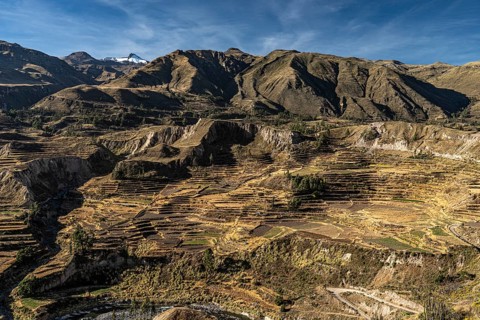 Mountain landscape with terraced fields in Colcacanon, Canon del Colca, Southern Peru, Andes, Peru,