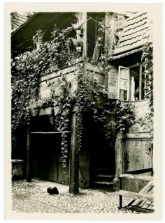 Berlin, Alt-Berlin, Petristr. 15, courtyard, old building with plants and wooden details in a