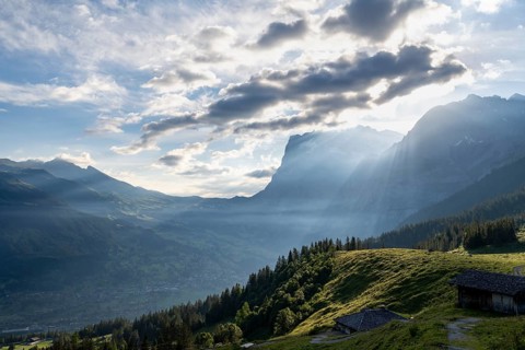 Morning atmosphere with sunshine, mountain huts, alpine meadows, alpigles, Wetterhorn peaks behind,