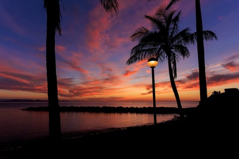 Lanzarote, Canary Islands, Spain, Europe, Playa Blanca, palm trees and a glowing lantern in front