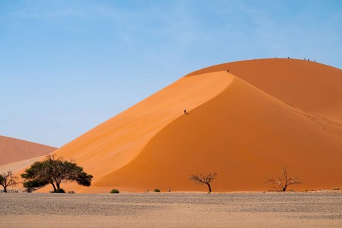Dune 45, Large Red Sand Dune in the Namib Desert, Namib Naukluft Park, Namibia