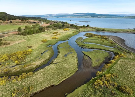 Drone photo of a river estuary with blooming gorse on the, Tobermory, Isle of Mull, Scotland, UK