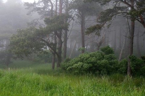 Sweden, Atmosphere, Countries, Haze, Landscape, Countries, Fog, Travel, Mood, Sweden, Travels,