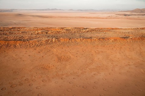 Sandy desert with Fairy Circles, circular areas, aerial view, Namib Desert, Namib Naukluft Park