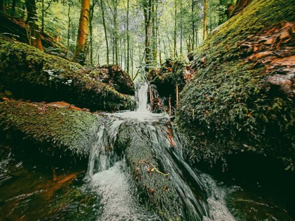 A small waterfall on the Werre stream flows through a moss-covered green forest, quiet, melancholy