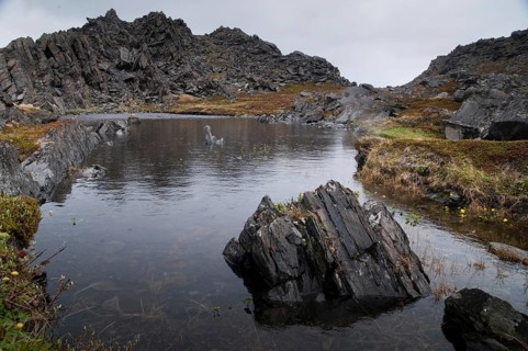 Norway, Norway, Varanger, Countries, Landscape, Countries, Travel, Travels