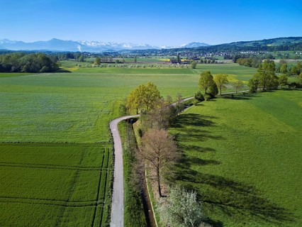 Meadows and fields, in the background the snow-covered Alps and the Rigi and Pilatus, Merenschwand,