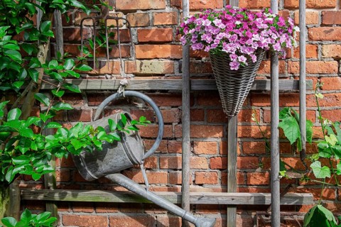 Brick wall with a hanging watering can and a flower basket containing ‘magic bells' (Calibrachoa),
