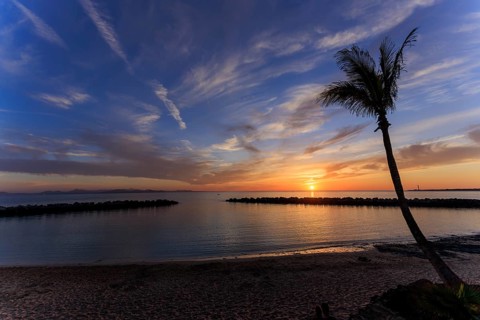 Lanzarote, Canary Islands, Spain, Europe, Playa Blanca, Tropical sunset with a palm tree and