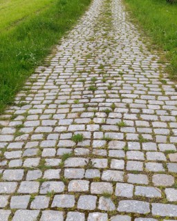 Grout, paving path, stone paving, paved path, high size, portrait format, path