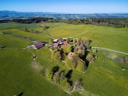 Horben viewpoint with castle and restaurant, Beinwil, Freiamt, Canton of Aargau, Switzerland