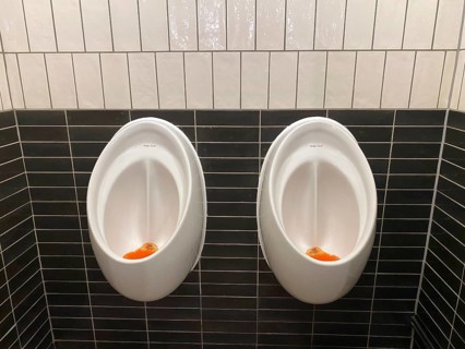 Public toilet for men, urinal, Falmouth, Cornwall, England, Great Britain, Great Britain