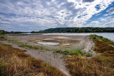 Low tide in the Rhine, sandbanks, on the right bank of the Rhine near Bad Honnef, hardly any
