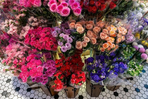 Roses, Bangkok, Thailand
