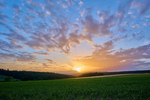 A lively sunset with intense shades of orange and blue over a green field, clouds arranged in